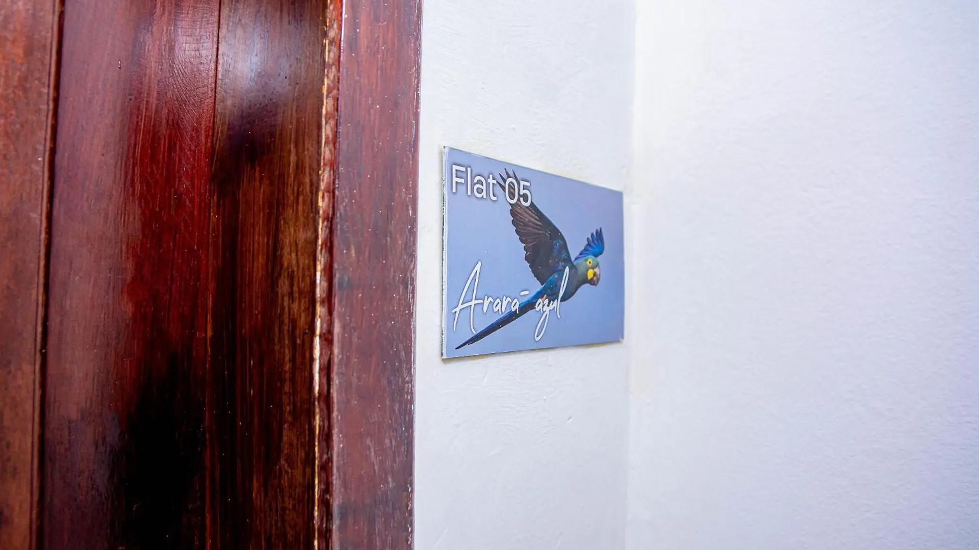 Apartment Pousada Flat Castor Natal Brasilien